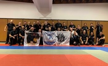 Academie maitrise combat 91