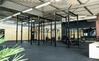 STEEL GARDEN