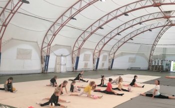 Gymnastique Phénix Beausoleil (Gymnastique Rythmique)