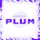 CrossFit Plum