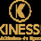 Kinessi