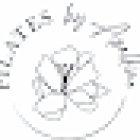 Pilates Par Apolline- Cours Pilates Appareils Et Sol-