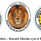 Gymnase Lycée Guy de Maupassant - Oshukaï Colombes