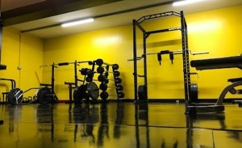 Shaun McGill Personal Training