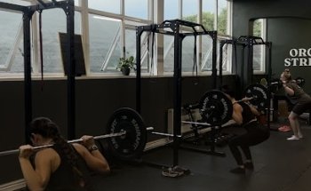 Organic Strength