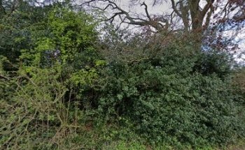 The Performance Corner