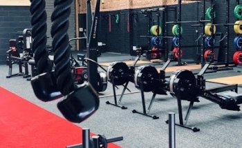 Primal Life Gym