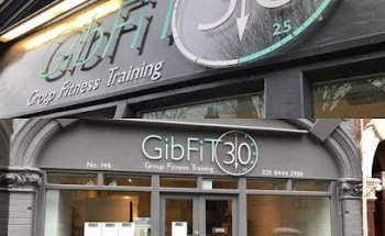 Gibfit 30