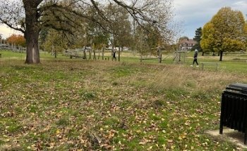 Sandall Park outdoor gym