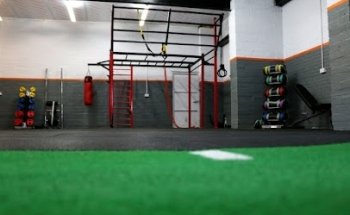 Alive Fitness