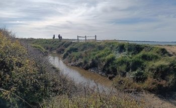 Chidham circular walk