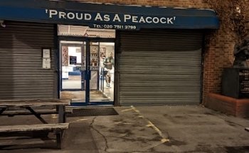 Peacock Gymnasium