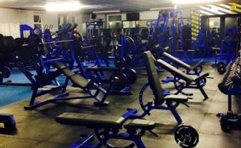 Muscle & Fitness Gym