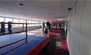 The Training Station