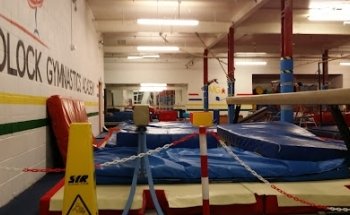 Busy Bodz Gymnastics