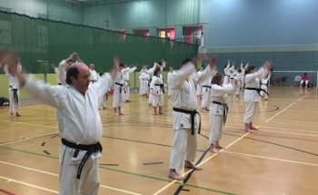 Hokushin Martial Arts