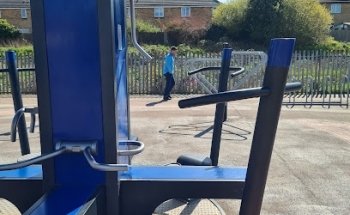 Dandelion Outdoor Gym