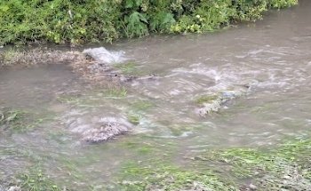 Ladygrove Loop outdoor gym spring rockers