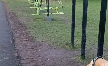 Public Gym Equipment