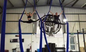 Vertigo Aerial Arts