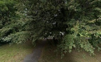 Stubbington Rec Outdoor Gym