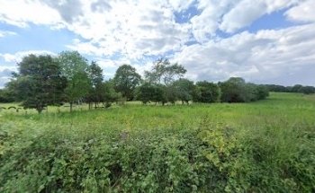Ditchingham park
