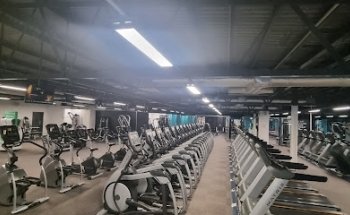 Shemek Fitness Pro