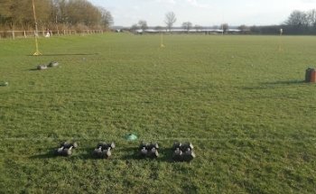 Commando Elite Fitness Boot Camp