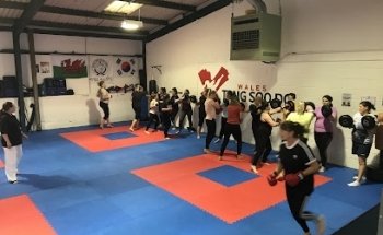 Heads of the Valleys Tang Soo Do