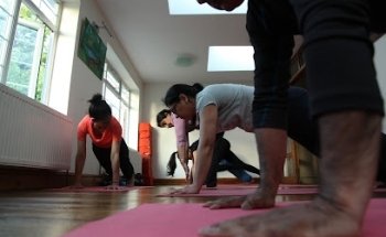 Sefali's Yoga Ltd
