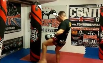 Contender Gym