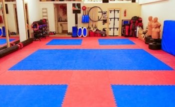 Silver Dragons Martial Arts