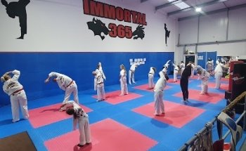Immortal 365 Family Martial Arts & Fitness Academy