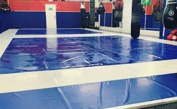 Ultimate Martial Arts Academy, Halesowen