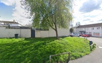 Tam’s Training & Therapy