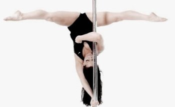 I Would Rather Be Pole Dancing