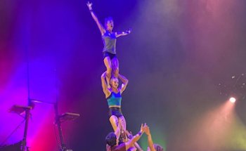 The Oak Circus Centre