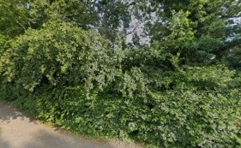 Springfit Gymnastics Club, Copthorne