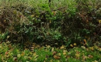 CrossFit M40 High Wycombe