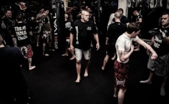 The MMA Clinic