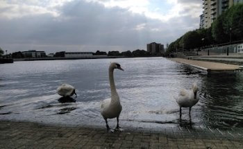 Agecroft Rowing Club