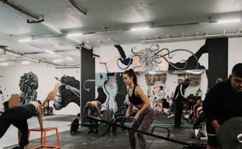 The Olympus Projects