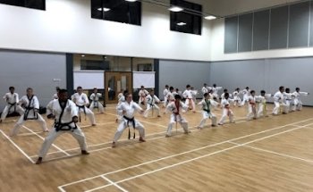 Lion Pride Tang Soo Do