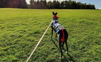 Hareleeshill Sports Barn