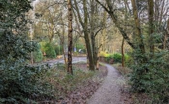 Andrew Parsons Massage & Fitness