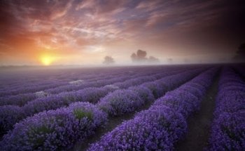 Nordic Walking Norwich