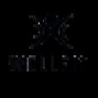 The WellFit Programme