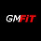 GMFiT