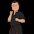 Stealth Black Belt Academy