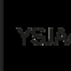 YSJActive
